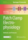 Patch Clamp Electrophysiology