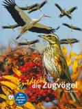 Entdecke die Zugvögel: Mit großem Zugvogelquiz (Entdecke - Die Reihe mit der Eule: Kindersachbuchreihe)