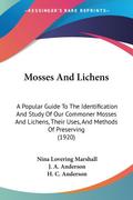 Mosses And Lichens