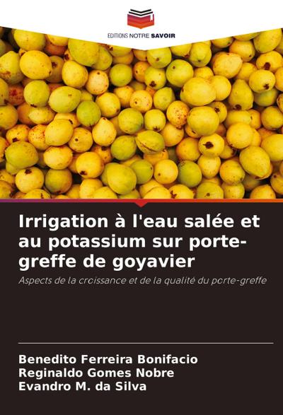 Irrigation à l’eau salée et au potassium sur porte-greffe de goyavier