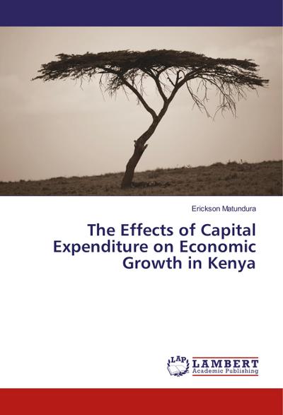 The Effects of Capital Expenditure on Economic Growth in Kenya