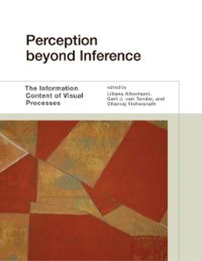 Perception beyond Inference