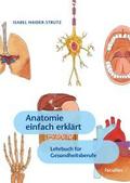 Anatomie einfach erklärt