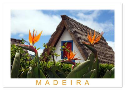 Madeira (Wandkalender 2026 DIN A4 quer), CALVENDO Monatskalender