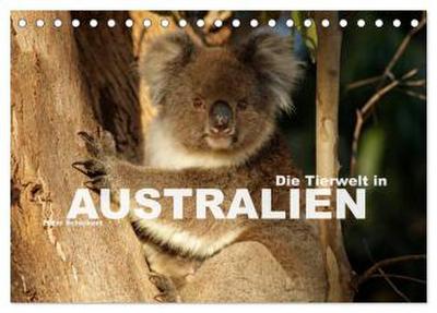 Die Tierwelt in Australien (Tischkalender 2026 DIN A5 quer), CALVENDO Monatskalender