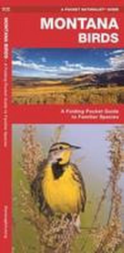 Montana Birds
