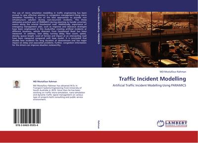 Traffic Incident Modelling