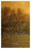 Am Strom