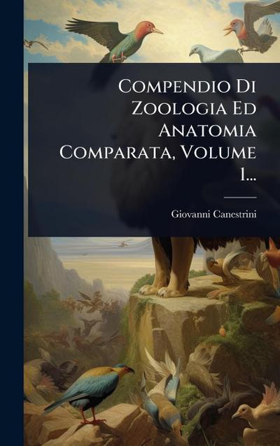 Compendio Di Zoologia Ed Anatomia Comparata, Volume 1...