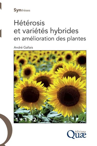 Hétérosis et variétés hybrides