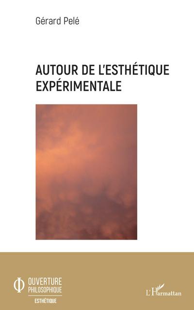 Autour de l’esthétique expérimentale