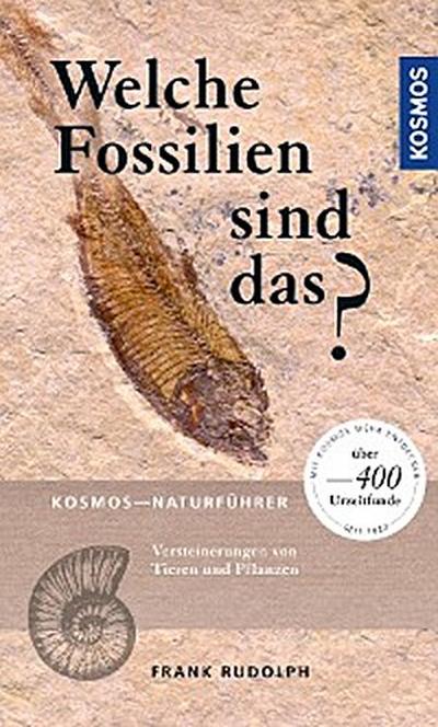 Welche Fossilien sind das?