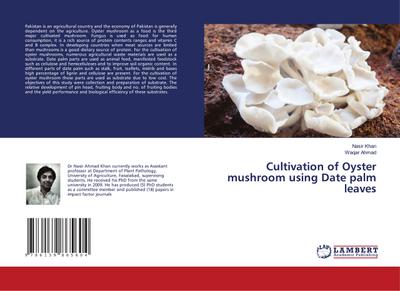 Cultivation of Oyster mushroom using Date palm leaves