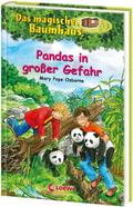 Pandas in großer Gefahr