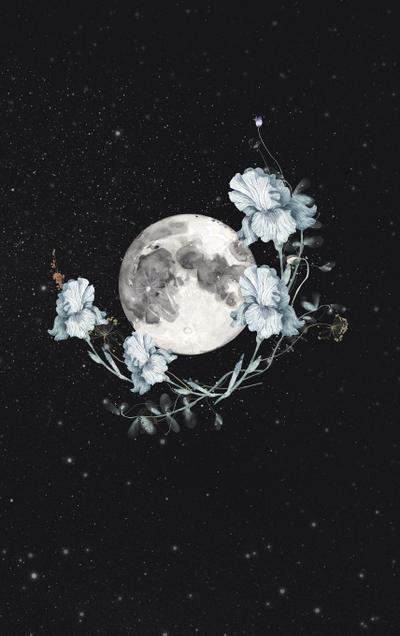 Goddess Daily Planner with Weekly Creativity Exercises (Undated 6" x 9")