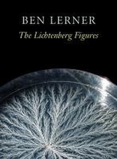 The Lichtenberg Figures
