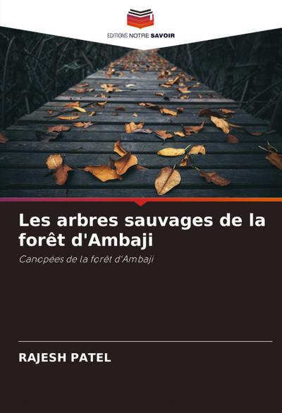 Les arbres sauvages de la forêt d’Ambaji