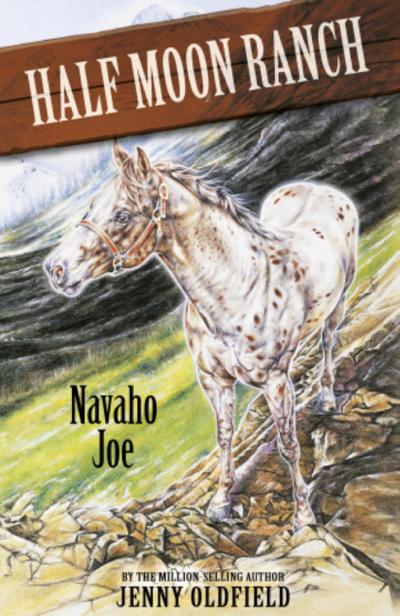 Navaho Joe