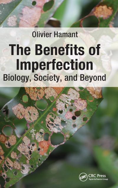 The Benefits of Imperfection