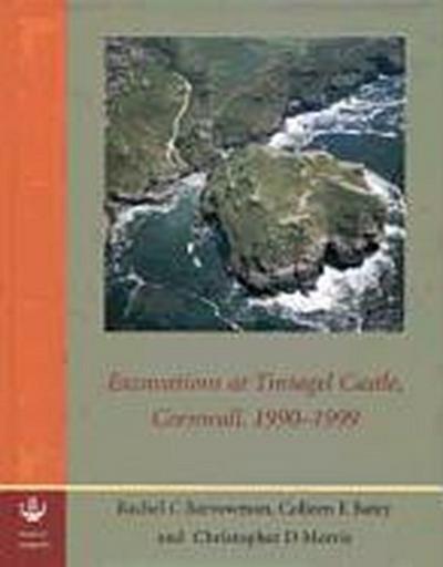 Excavations at Tintagel Castle, Cornwall, 1990-1999
