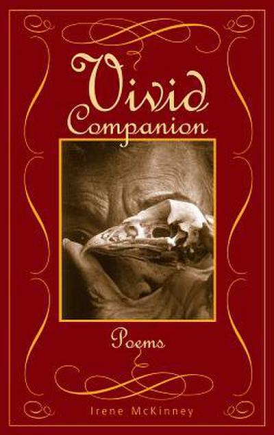 VIVID COMPANION