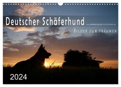Deutscher Schäferhund / CH-Version (Wandkalender 2024 DIN A3 quer), CALVENDO Monatskalender