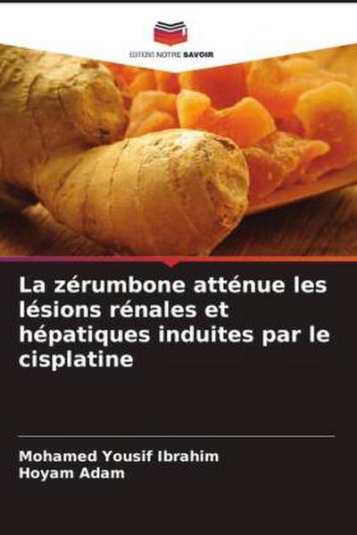 La zérumbone atténue les lésions rénales et hépatiques induites par le cisplatine