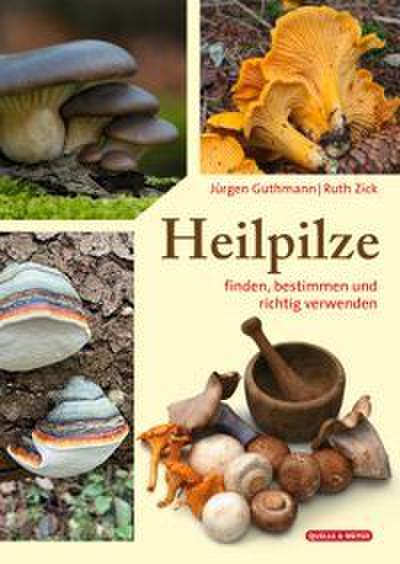 Heilpilze