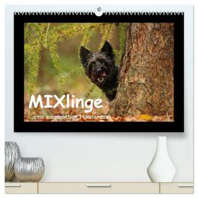 MIXlinge (hochwertiger Premium Wandkalender 2026 DIN A2 quer), Kunstdruck in Hochglanz