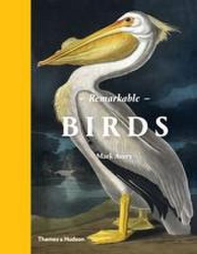 Remarkable Birds
