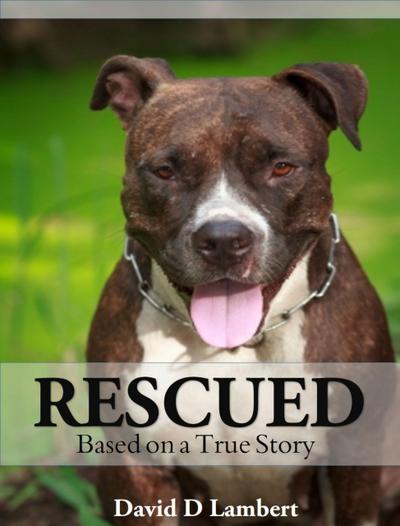 Rescued  Based on a True Story