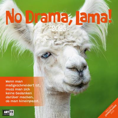 No Drama, Lama! Kalender 2025 - 30x30