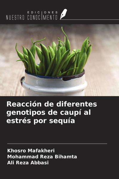 Reacción de diferentes genotipos de caupí al estrés por sequía