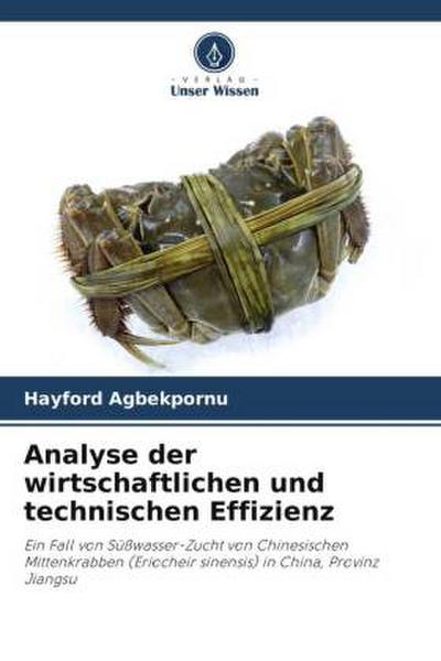 Analyse der wirtschaftlichen und technischen Effizienz