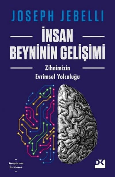 Insan Beyninin Gelisimi