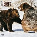 Bears 2014 - Bären: Original BrownTrout-Kalender [Mehrsprachig] [Kalender]