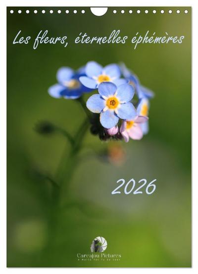 Les fleurs, éternelles éphemères (Calendrier mural 2026 DIN A4 horizontal), CALVENDO calendrier mensuel