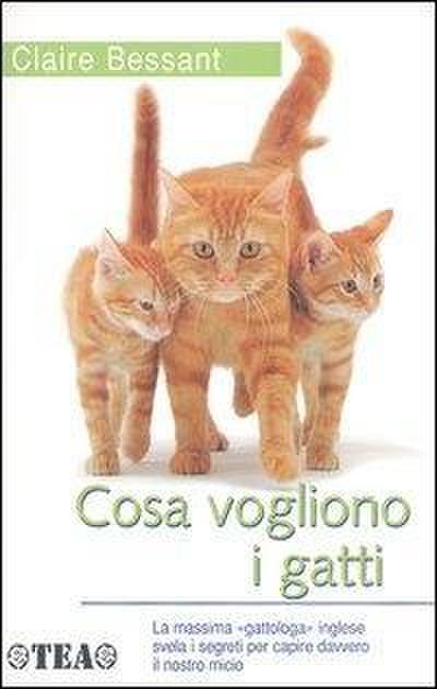 Cosa vogliono i gatti