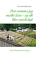 Den sommer jeg mødte Lisa - og alt blev mærkeligt