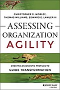 Assessing Organization Agility