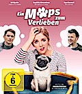 Ein Mops zum Verlieben