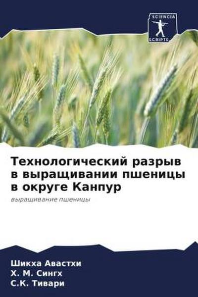 Tehnologicheskij razryw w wyraschiwanii pshenicy w okruge Kanpur