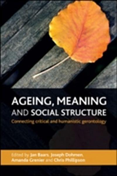 Ageing, Meaning and Social Structure