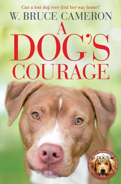 A Dog’s Courage