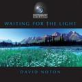 Waiting for the Light