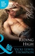 Riding High (Mills & Boon Blaze) (Sons of Chan