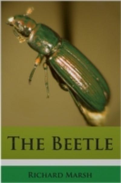 Beetle
