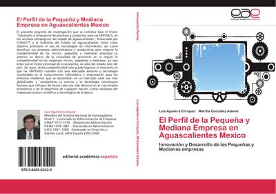 El Perfil de la Pequeña y Mediana Empresa en Aguascalientes Mexico - Luis Aguilera Enriquez