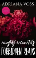 Naughty Encounters Forbidden Reads