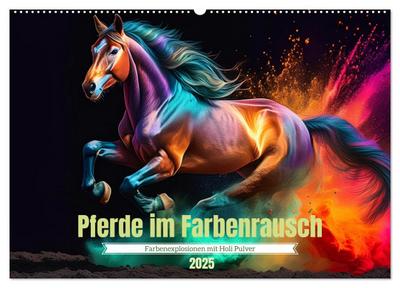 Pferde im Farbenrausch (Wandkalender 2025 DIN A2 quer), CALVENDO Monatskalender
